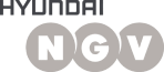 Hyundai NGV logo